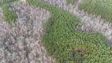 2932 Old Hohenwald Rd - Photo 11