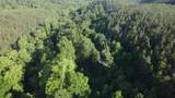 2932 Old Hohenwald Rd - Photo 15