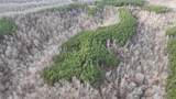 2932 Old Hohenwald Rd - Photo 21