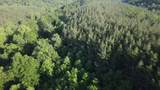 2932 Old Hohenwald Rd - Photo 6