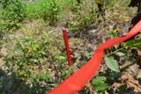 0 Topside Dr - Photo 25