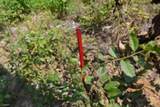 0 Topside Dr - Photo 26