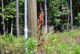 0 Topside Dr - Photo 29