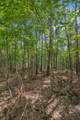 0 Falls Branch Road - Photo 15