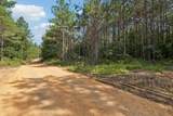 0 Falls Branch Road - Photo 21