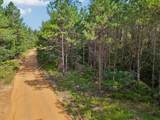 0 Falls Branch Road - Photo 25