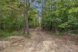 0 Falls Branch Road - Photo 8