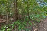 0 Falls Branch Road - Photo 9
