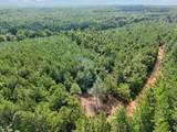 0 Falls Branch Road - Photo 10
