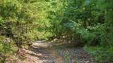 260 Riddle St - Photo 45