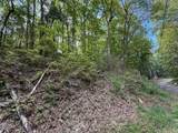 1329 Ski View Ln Lane - Photo 30