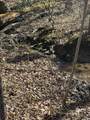417 Lewis Rd - Photo 9