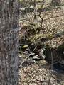 417 Lewis Rd - Photo 10