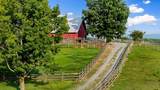 559 White Road - Photo 12