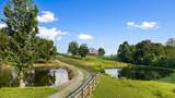 559 White Road - Photo 7