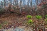 7300 Snake Hollow Rd - Photo 34