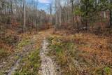 7300 Snake Hollow Rd - Photo 45