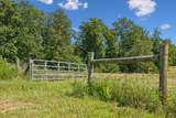 3393 Slayden Marion Rd - Photo 100
