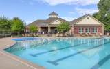 1559 Cedarbrooke Ln - Photo 46