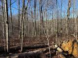 5 Deerhead Road - Photo 11