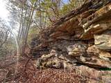 5 Deerhead Road - Photo 12