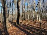 5 Deerhead Road - Photo 5