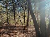 5 Deerhead Road - Photo 6