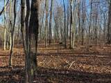 5 Deerhead Road - Photo 9