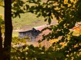 4701 Reed Rd - Photo 20