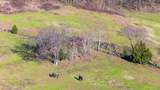 4701 Reed Rd - Photo 22