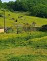 4701 Reed Rd - Photo 25