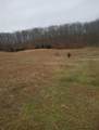 4701 Reed Rd - Photo 26