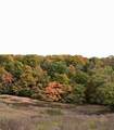4701 Reed Rd - Photo 27