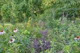 816 Tanager Pl - Photo 46