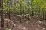 0 Falls Branch Road - Photo 14