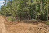 0 Falls Branch Road - Photo 17