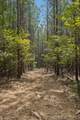 0 Falls Branch Road - Photo 20