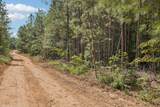 0 Falls Branch Road - Photo 3