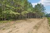 0 Falls Branch Road - Photo 10