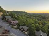 1550 Bears Den Way - Photo 4