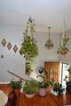 3133 Oak Ridge Dr - Photo 22