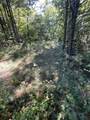 0 Turkey Track Rd - Photo 4