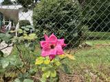 704 Canyon Dr - Photo 44
