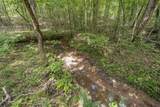 311 Dew Drop Rd - Photo 32