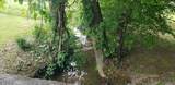 1561 Jobey Green Hollow Rd - Photo 3