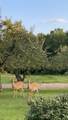 1147 Pleasant Valley Rd - Photo 30