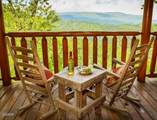 2823 White Oak Ridge Ln Lane - Photo 4