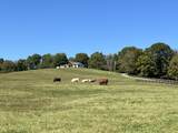 2202 Darks Mill Rd - Photo 66