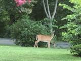 2202 Darks Mill Rd - Photo 69