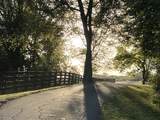 2202 Darks Mill Rd - Photo 9
